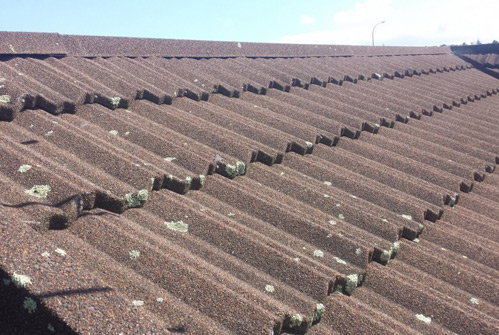 bio clean moss and lichen treatment - Roof Services