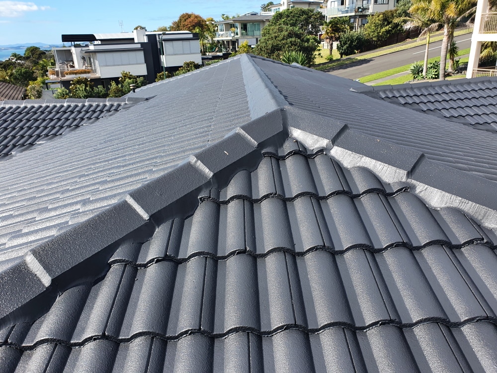 Monier roof tiles restoration 2 - Home