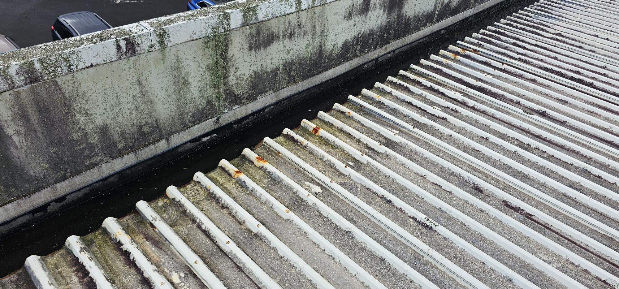 20240812 130429 - Commercial Roof Maintenance
