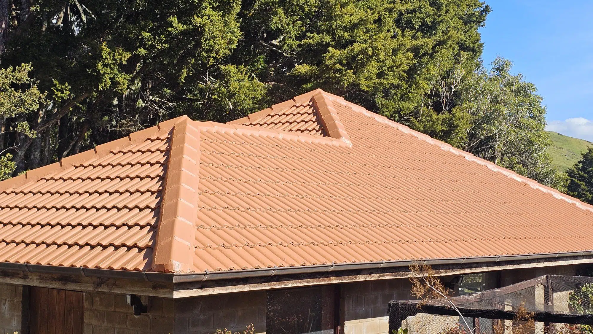Wellsford concrete tile roof restoration and painting